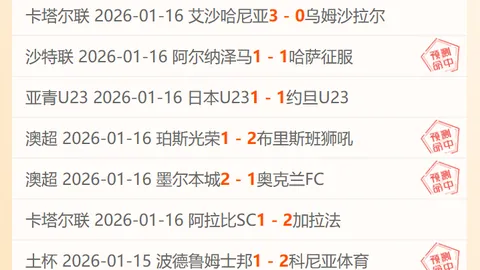 斯洛特揭秘：伊萨克与埃基蒂克联手新常态，大名单掌控权全在我手中！